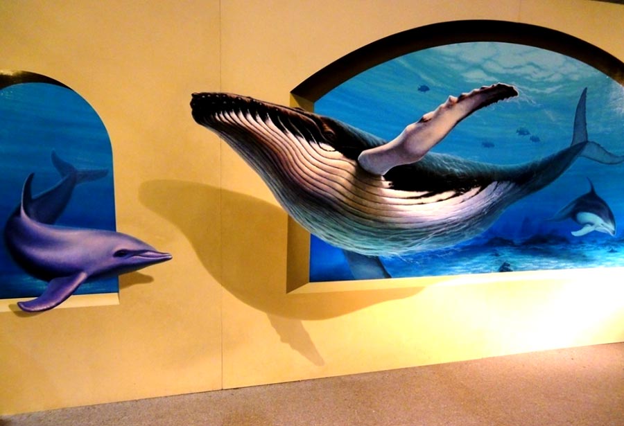 [海洋3d画]青岛城阳海洋主题3d立体画墙体彩绘|黄岛3d