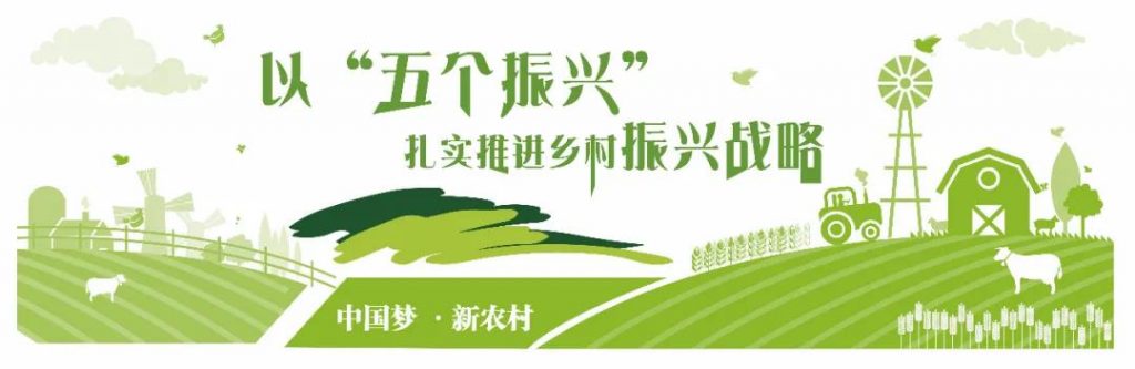 墙绘素材丨新农村文化墙矢量高清素材