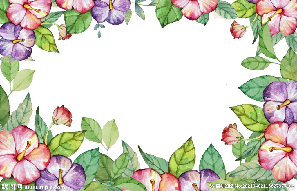 墙绘素材丨花卉绿植插画2