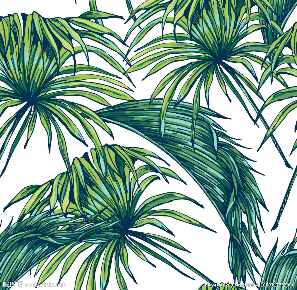 墙绘素材丨花卉绿植插画2