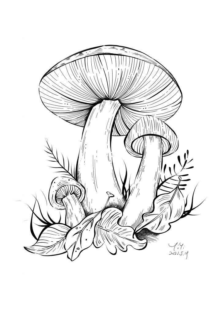 墙绘素材丨花卉绿植插画2