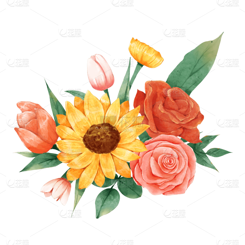 墙绘素材丨花卉绿植插画2