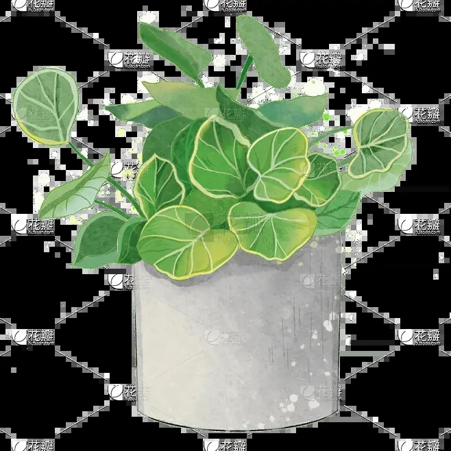 墙绘素材丨花卉绿植插画2