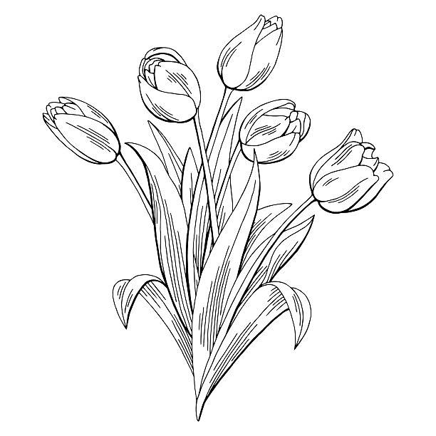 墙绘素材丨花卉绿植插画2
